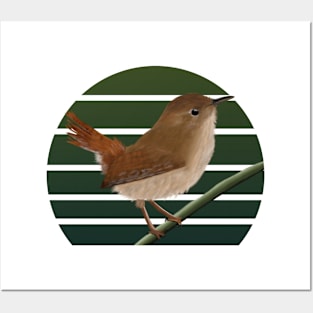 jz.birds Wren Bird Animal Art Posters and Art